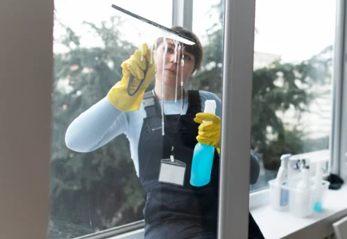 Nettoyage de vitres intérieures et extérieures à Rauzan